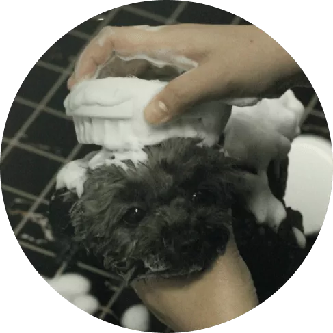 1-min - 2021-08-24T123704.258