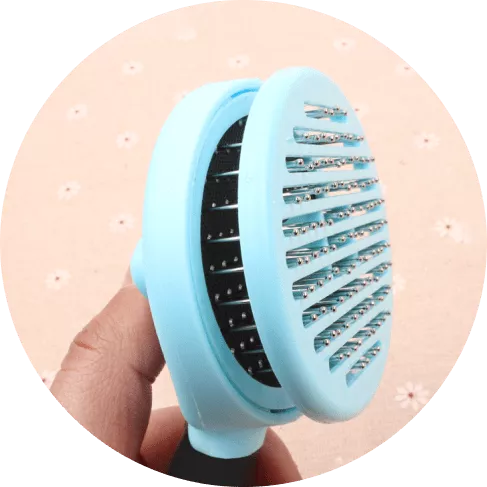 2-min - 2021-08-24T121520.344