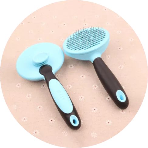 1-min - 2021-08-24T121519.984