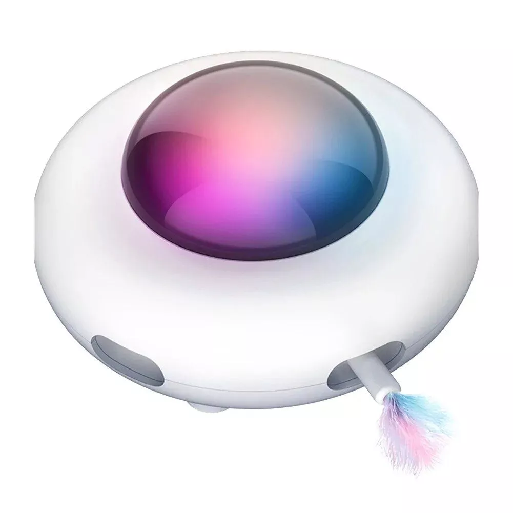 159593-ad5d9d.webp