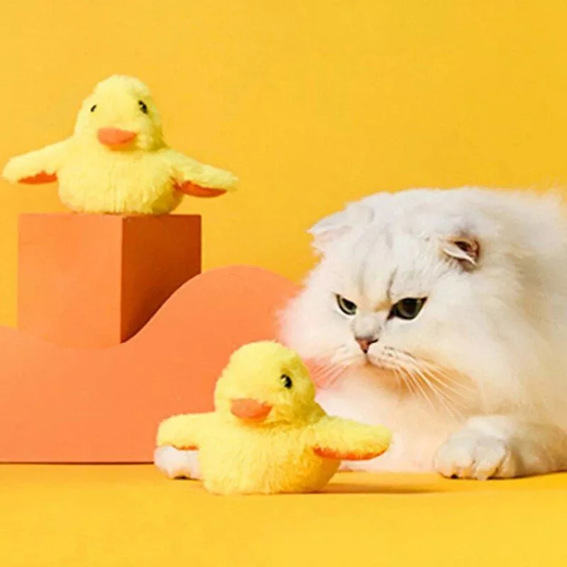 159634-250921.webp