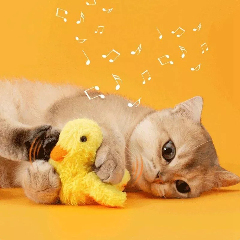 159634-357819.webp
