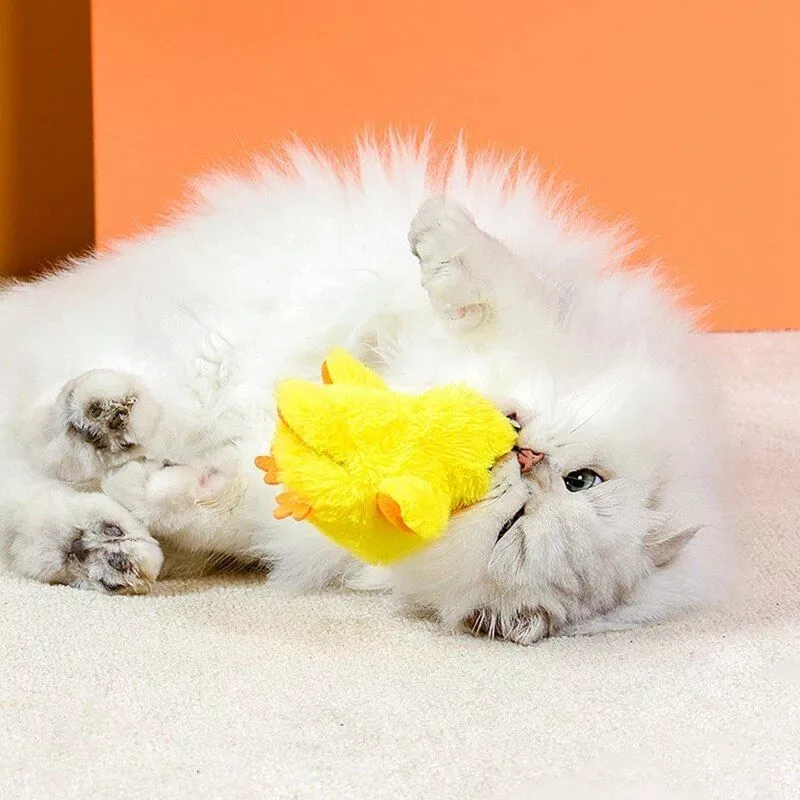 159634-86678d.webp