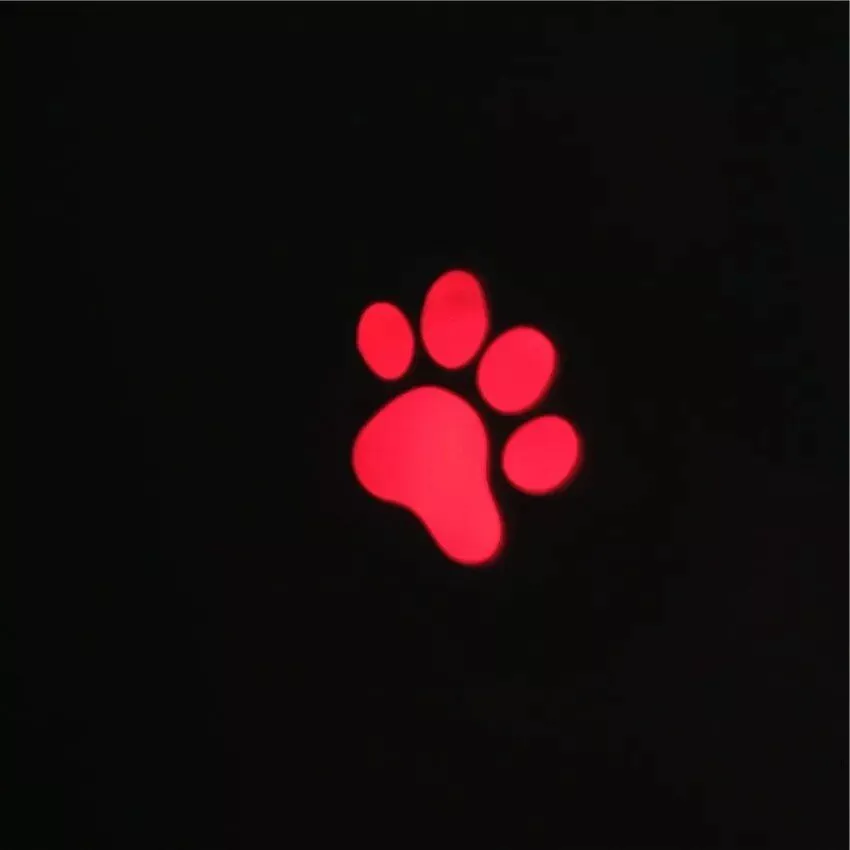 159663-4af785.webp