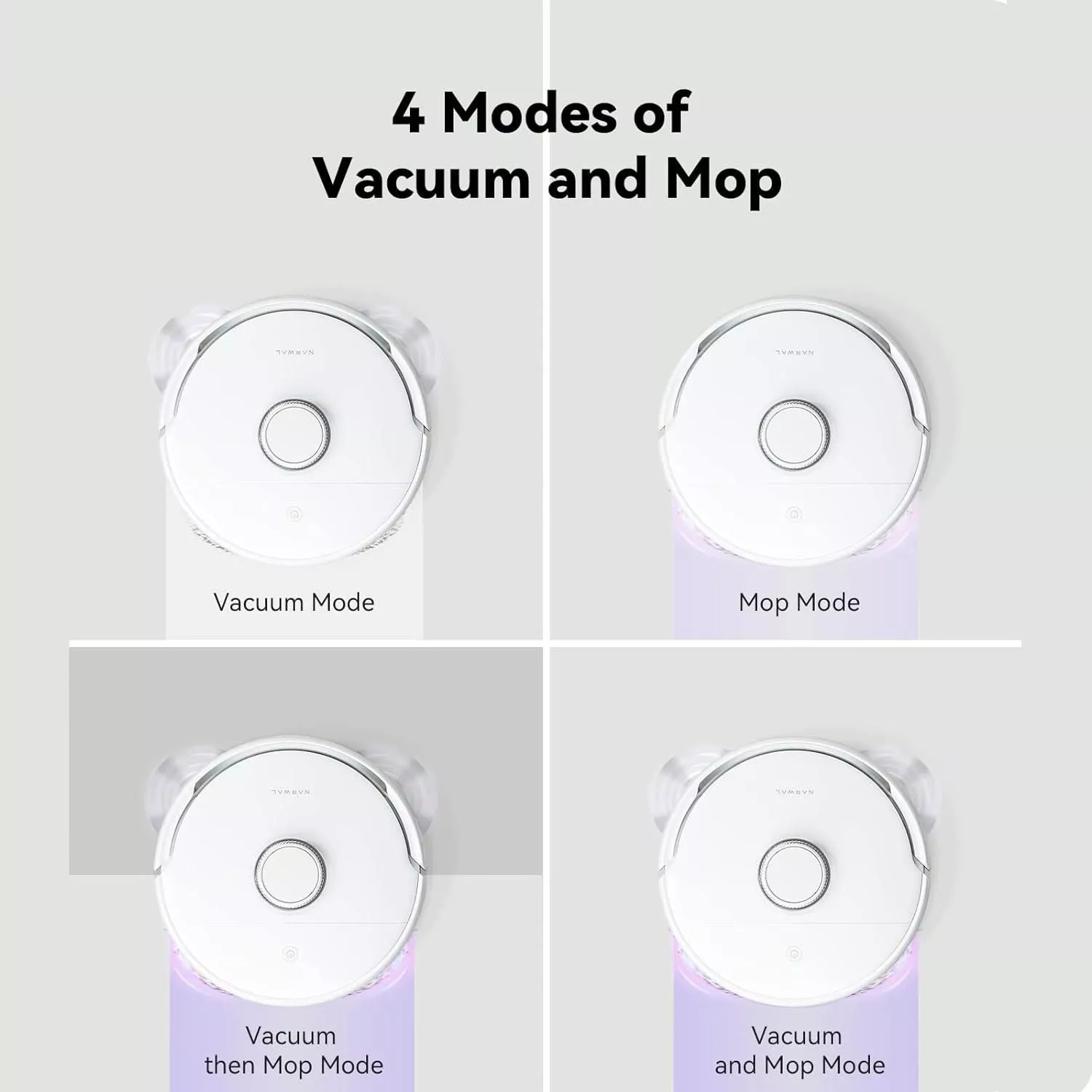 172971-8a89a4.webp