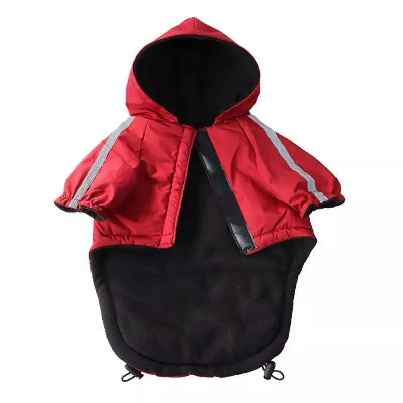 227283-d2ef63.webp